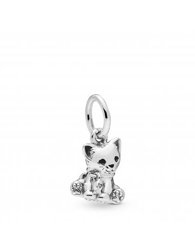 Charm Colgante en plata de ley Gato