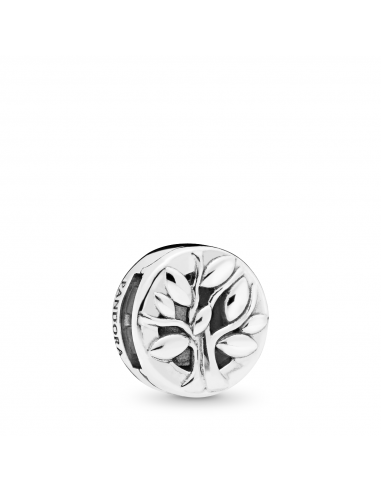 Charm Reflexions en plata de Ley Árbol de la Familia