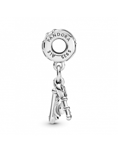 Charm colgante en plata de ley Llavero y Pomo