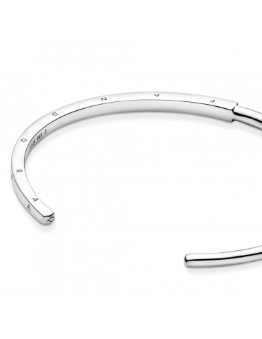 Pulsera Rígida en plata de ley Pandora...