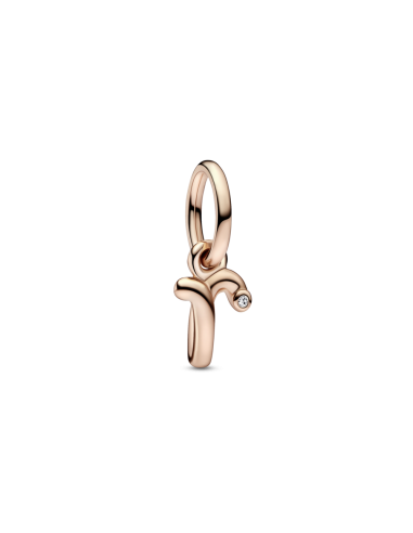 Charm Colgante con un recubrimiento en oro rosa de 14k Alfabeto Letra Minúscula R