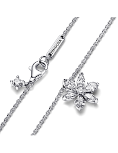 Collar en plata de ley Herbario Brillante 2