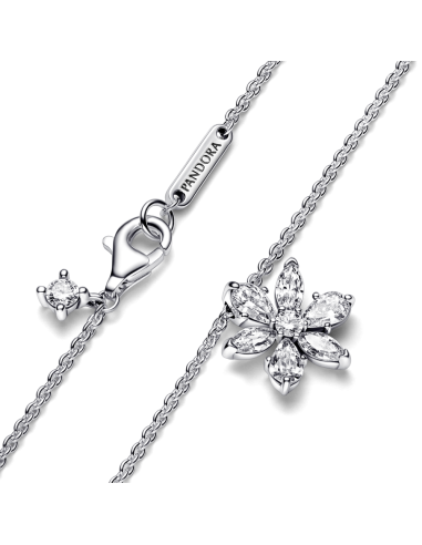 Collar en plata de ley Herbario Brillante