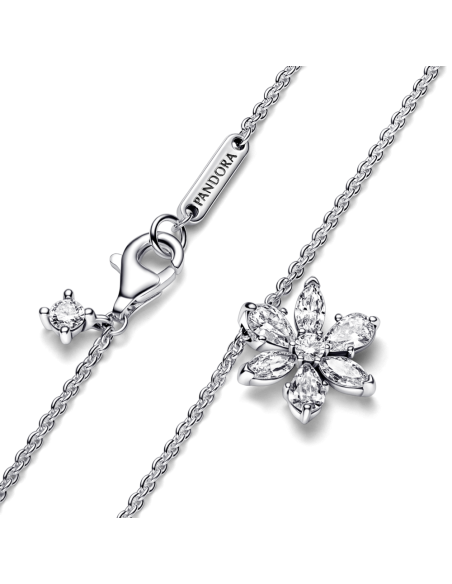 Collar en plata de ley Herbario Brillante