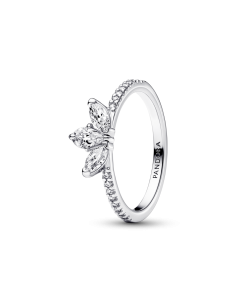 Anillo en plata de ley Herbario Brillante