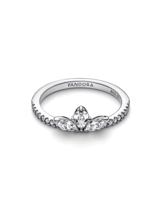 Anillo en plata de ley Herbario Brillante 2