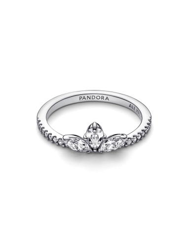 Anillo en plata de ley Herbario Brillante