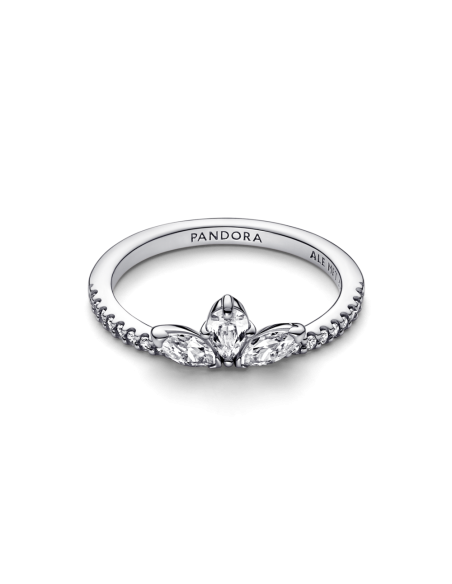 Anillo en plata de ley Herbario Brillante